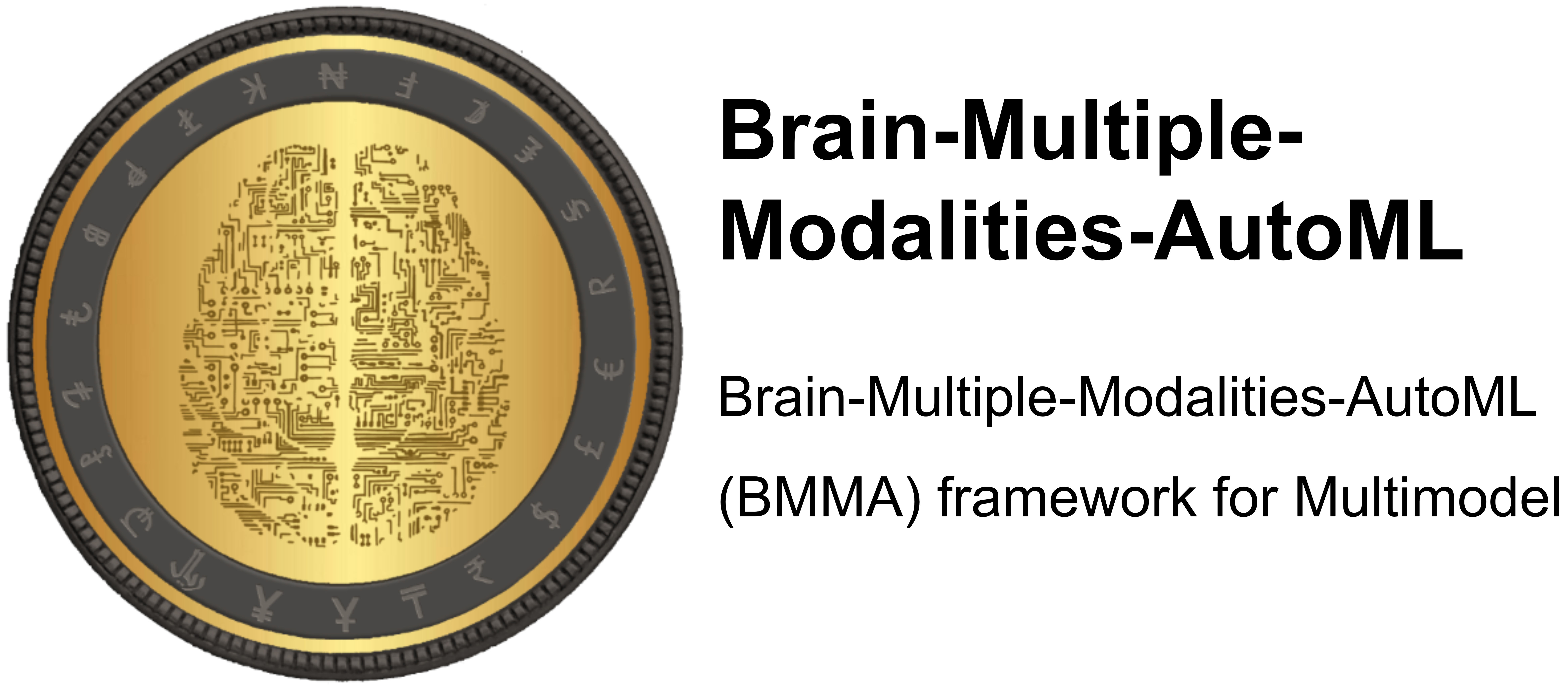 MultiModal Machine Learning AutoML